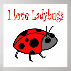 Poster Ladybugs