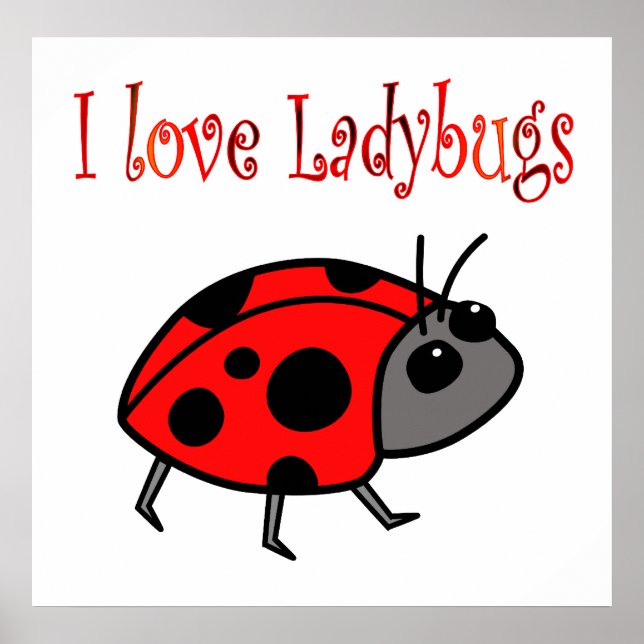 Poster Ladybugs (Frente)