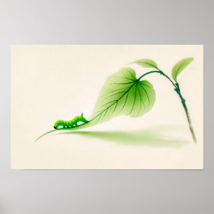 Poster Lagarta-borboleta chinesa de tinta em Linden