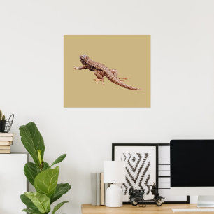 Poster Lagarto