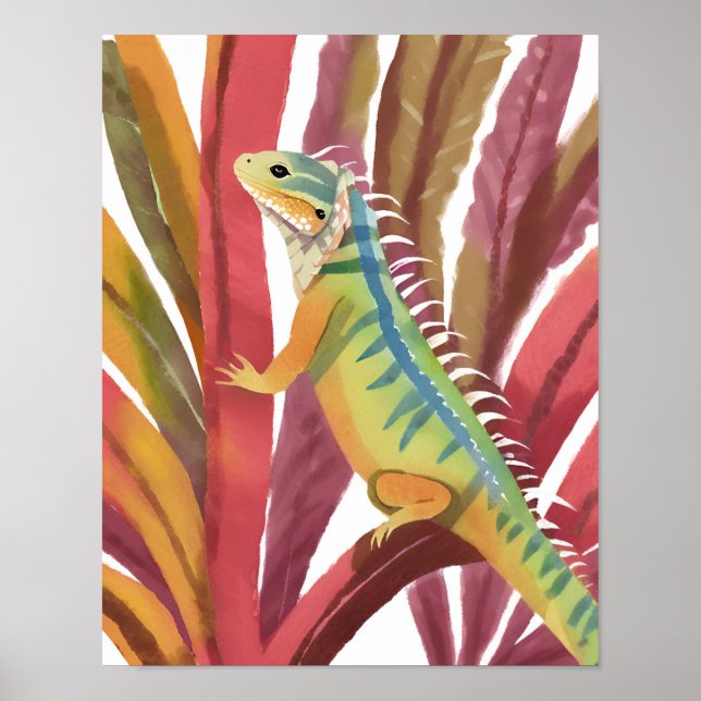 Poster Lagarto de caribe (Frente)