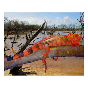 Pôster Lagarto-de-laranja-preto em Margarita Poster brilh