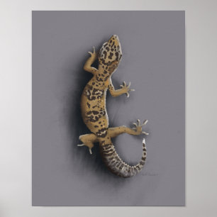Poster Lagarto do geco do leopardo