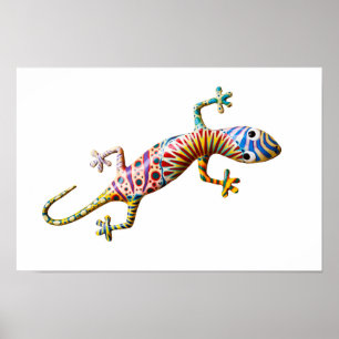 Poster Lagarto gekko colorido