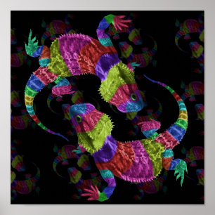 Pôster Lagartos do arco-íris