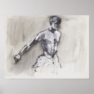 Poster Lago 2001 swan