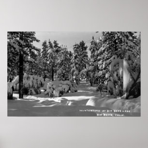 Poster Lago big Bear, CA na opinião da neve do inverno