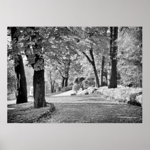 Poster Lago Como Path Monocromo