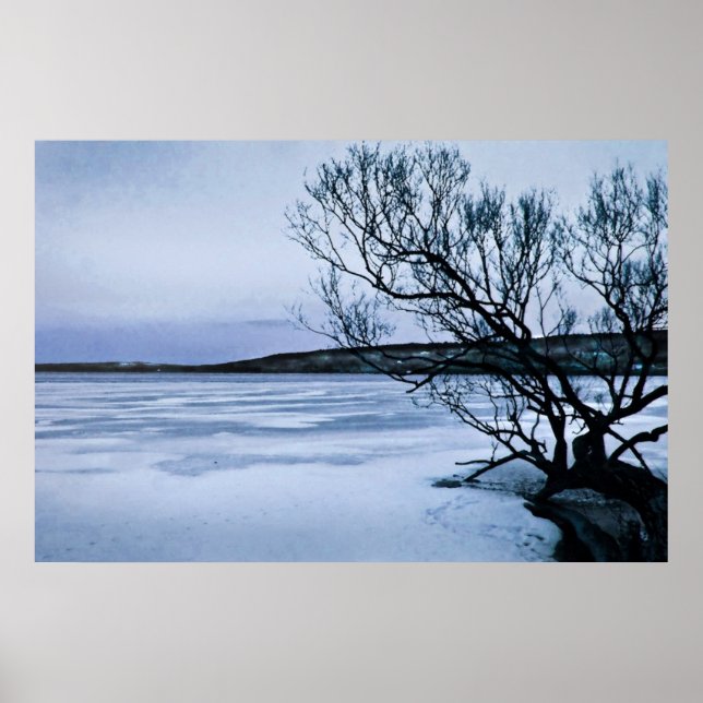 Pôster Lago congelado (Frente)