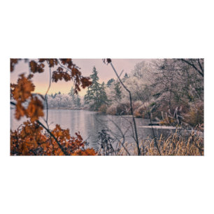 Pôster Lago de Deer Congelado.