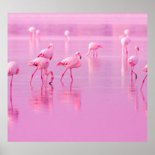 Poster Lago de Flamingos cor-de-rosa Conceito romântico