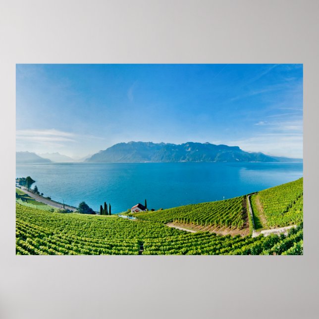 Pôster Lago de Genebra (Lac Léman) 007 (Frente)