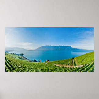 Poster Lago de Genebra (Lac Léman) 017
