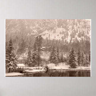 Pôster Lago de inverno