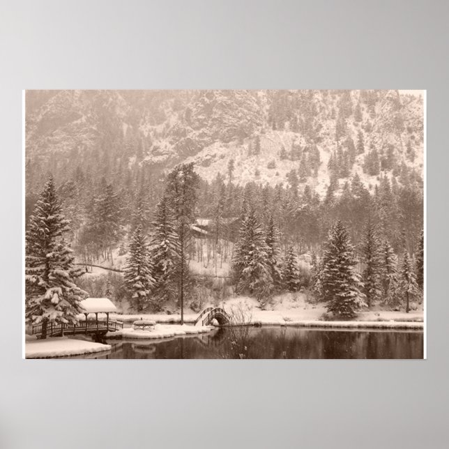 Pôster Lago de inverno (Frente)