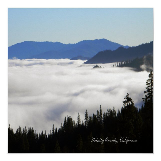 Pôster Lago de Nevoeiro através de árvores... (Frente)