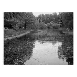 Pôster Lago de Outono Dourado - Edição Nórdica Preto e Br