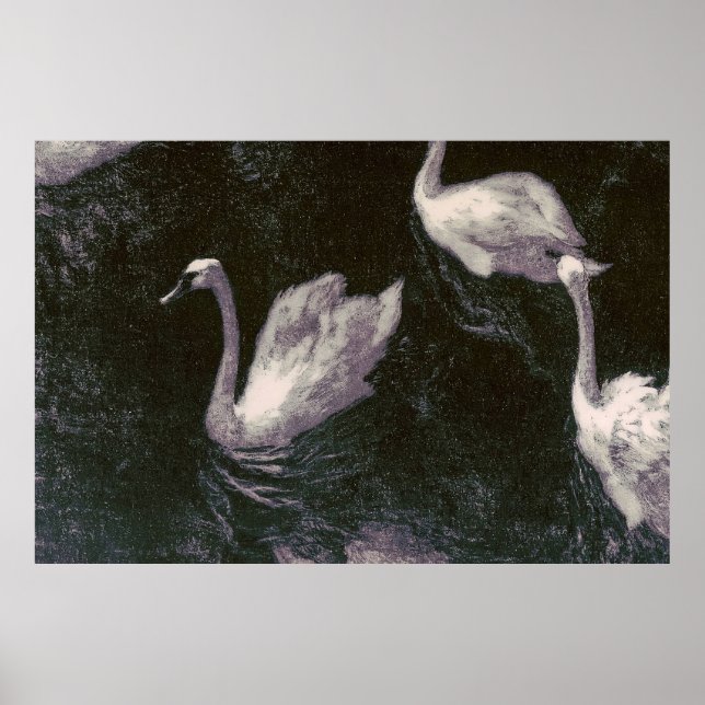 Poster Lago dos Cisnes ao Luar (Frente)