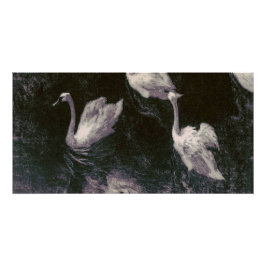 Pôster Lago dos Cisnes ao Luar