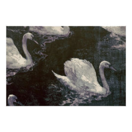 Pôster Lago dos Cisnes ao Luar