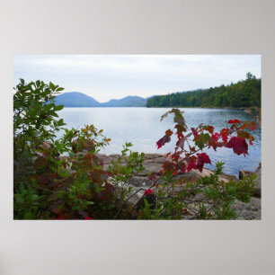 Poster Lago Eagle e Folhas de Bordo Vermelho I