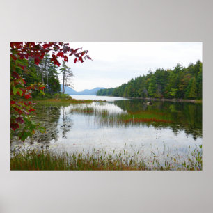 Poster Lago Eagle e Folhas de Bordo Vermelho II