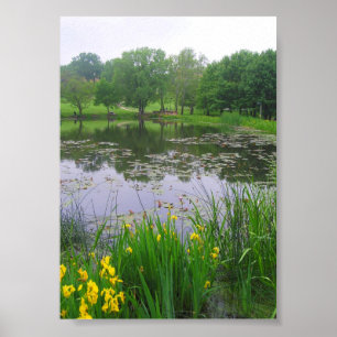 Poster Lago em Lawrence, Kansas