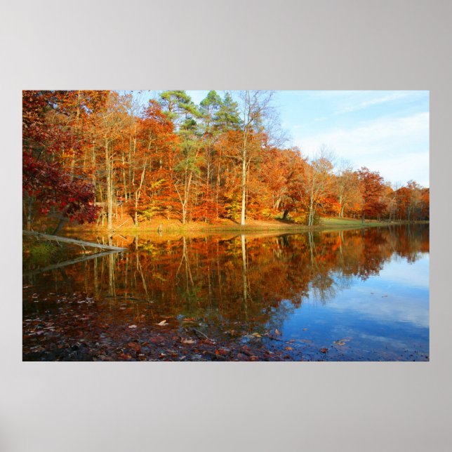 Pôster Lago Fall (Frente)