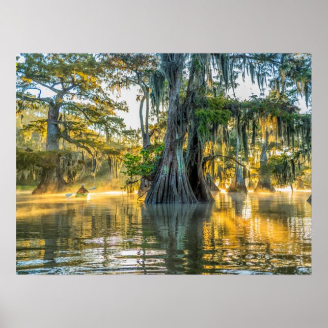 Poster Lago Fausse Pointe State Park (Frente)