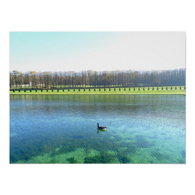 Pôster Lago Forest. Vai para a água. (Frente)