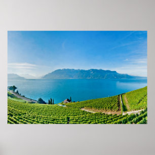 Pôster Lago Genebra (laca Léman) 007