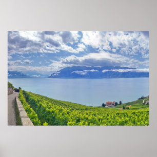 Poster Lago Genebra (laca Léman) 009