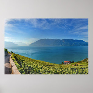 Pôster Lago Genebra (laca Léman) 010