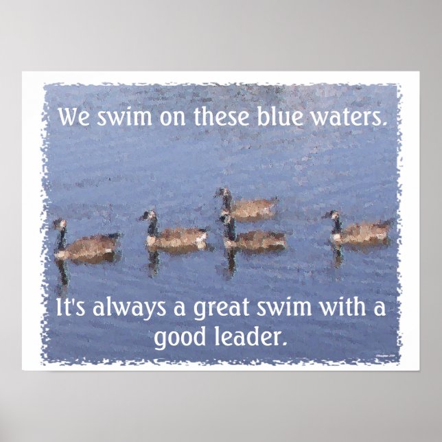 Poster Lago Goose (Frente)