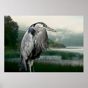 Pôster Lago heron
