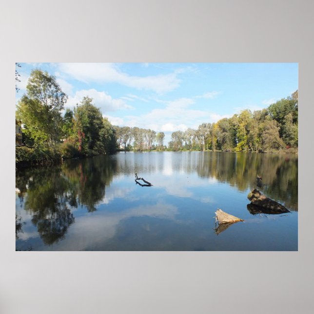 Pôster Lago Lined de Árvore (Frente)