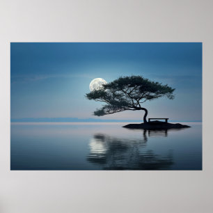 Poster Lago Mist Moon Light Tranquil Pacífico