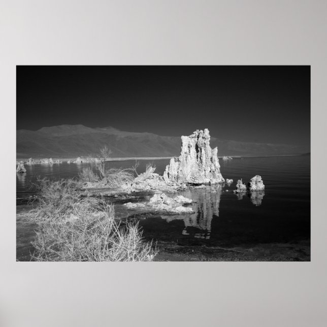Pôster Lago Mono (Frente)