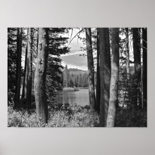 Poster Lago mountain, floresta, preto e branco