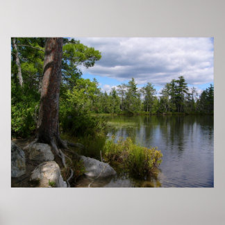 Pôster lago nelligan