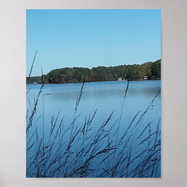 Poster Lago Scene (Frente)