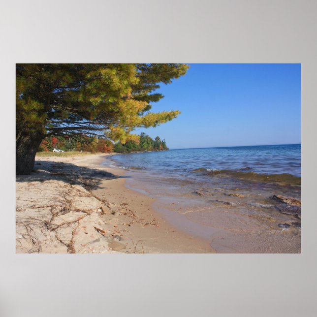 Poster Lago Superior, Parque Brunette no Outono (Frente)