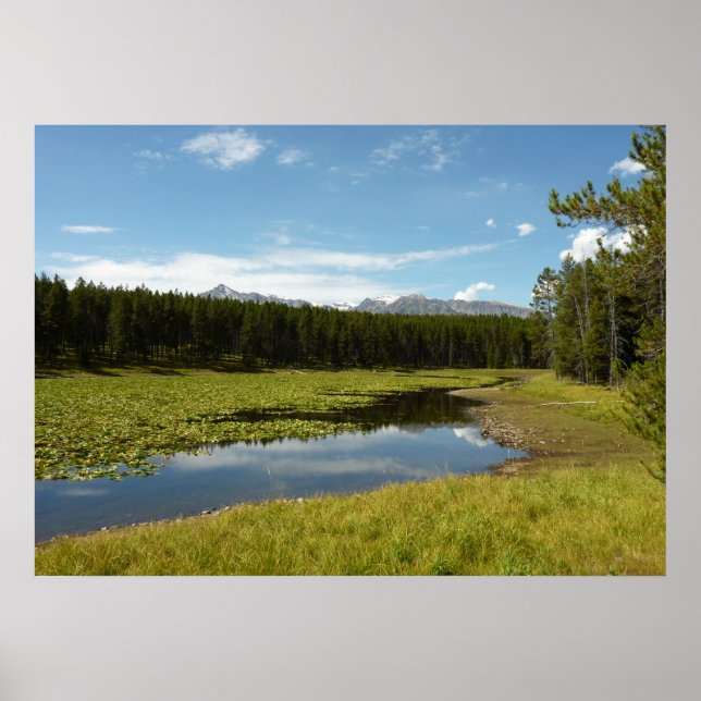 Poster Lago Swan I no Parque Nacional Grand Teton (Frente)