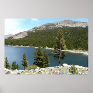 Pôster Lago Tenaya no Parque Nacional de Yosemite
