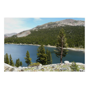 Pôster Lago Tenaya no Parque Nacional de Yosemite