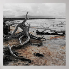 Poster Lago Tyrrell Natural Forces