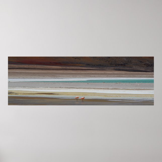 Poster Lagoa Bolívia com Flamingos - Foto (Frente)