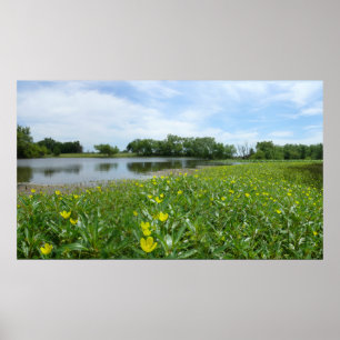 Pôster Lagoa da herdade