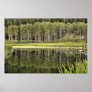 Poster Lagoa de McCall