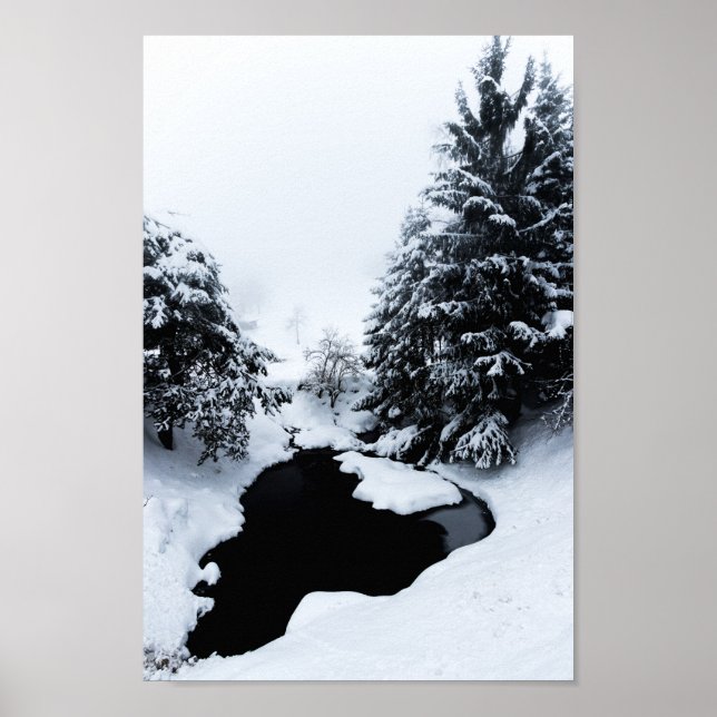 Poster Lagoa de neve e árvores desaparecendo no nevoeiro (Frente)